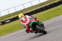 PJ-Motorsport-2019;anglesey-no-limits-trackday;anglesey-photographs;anglesey-trackday-photographs;enduro-digital-images;event-digital-images;eventdigitalimages;no-limits-trackdays;peter-wileman-photography;racing-digital-images;trac-mon;trackday-digital-images;trackday-photos;ty-croes